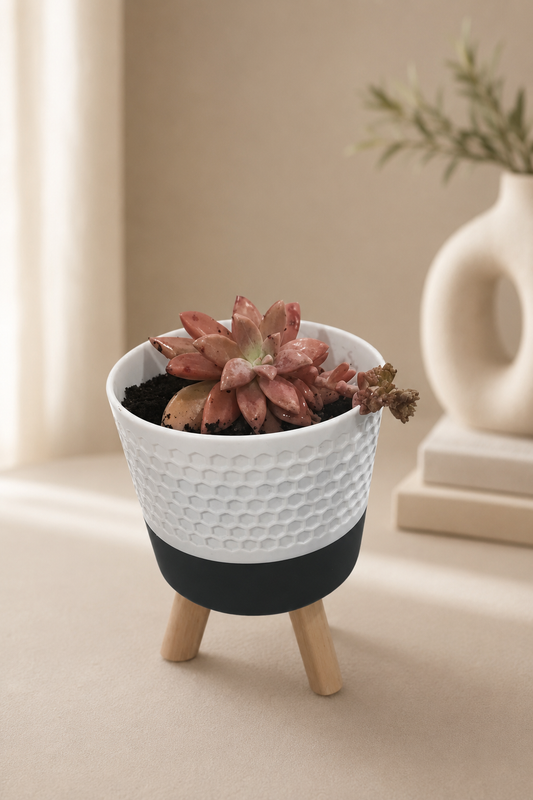 Vaso Decorativo