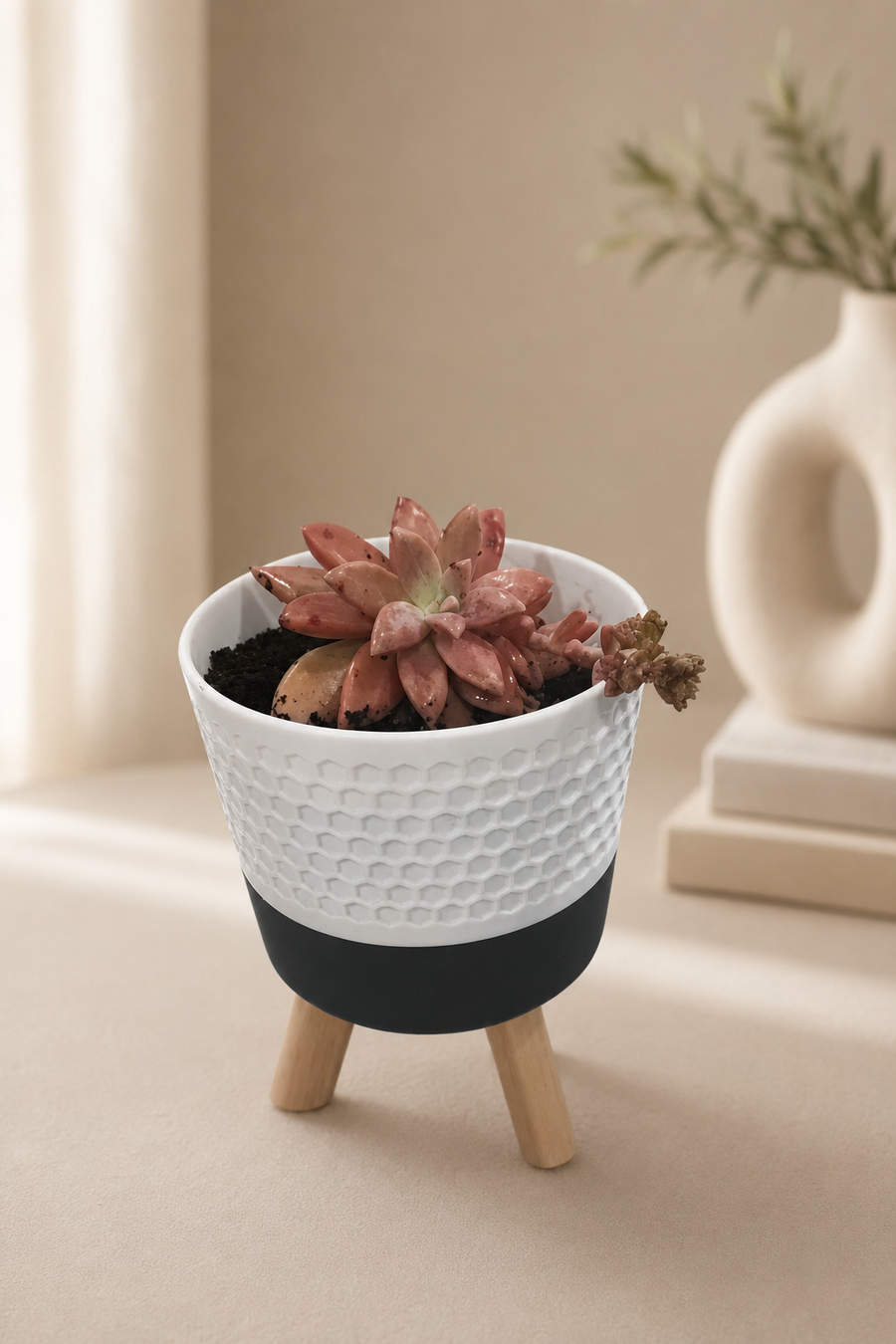 Vaso Decorativo